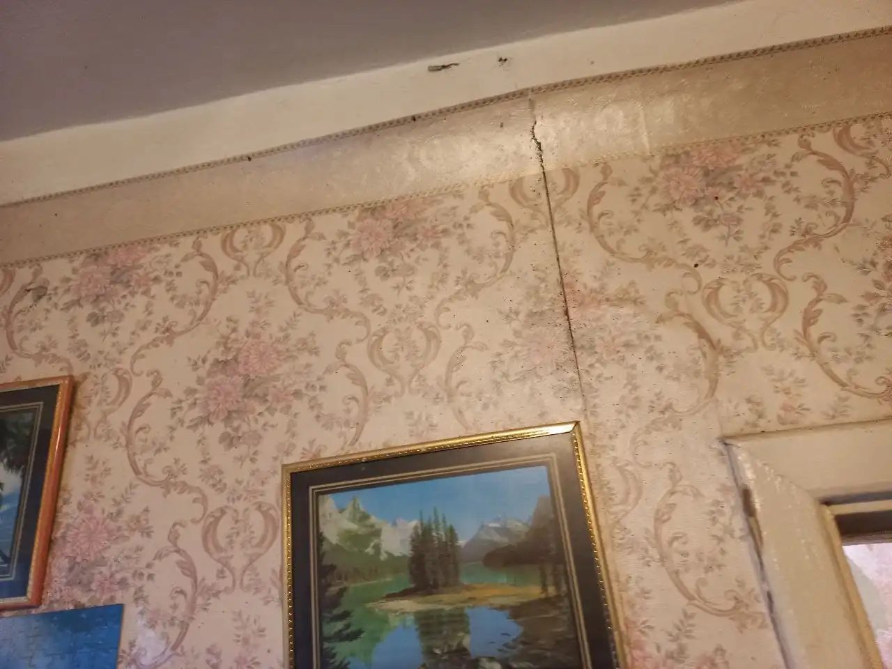 Клопы в стене под обоями
